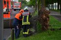 Baum auf Fahrbahn Koeln Deutz Alfred Schuette Allee Mole P613